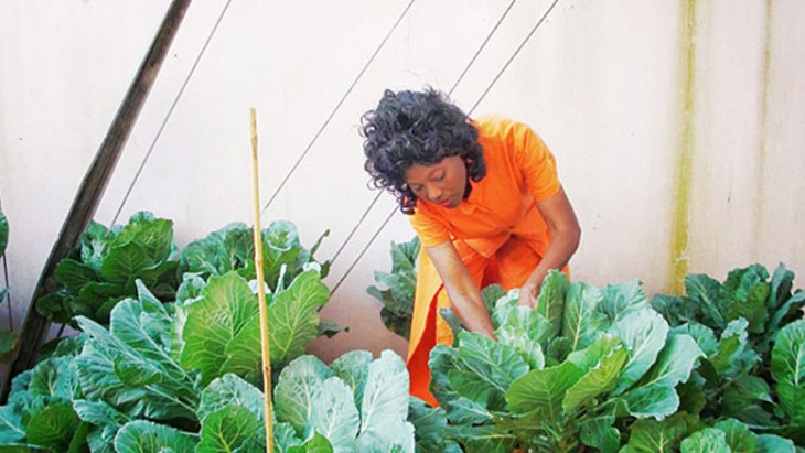 Mujer checando la cosecha en su jardín 