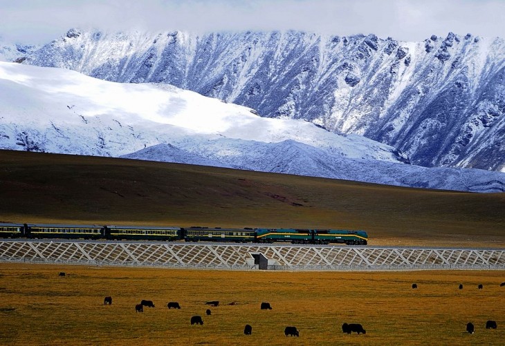 Línea que rrecorre el Qingzang Ferrocarril