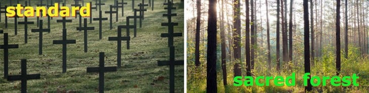 Cementerio convertido en bosques de recuerdo 