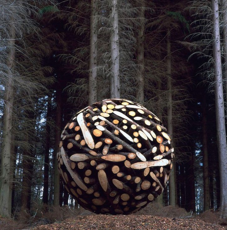 Pedazos de troncos formando una bola en un bosque frente a unos pinos 