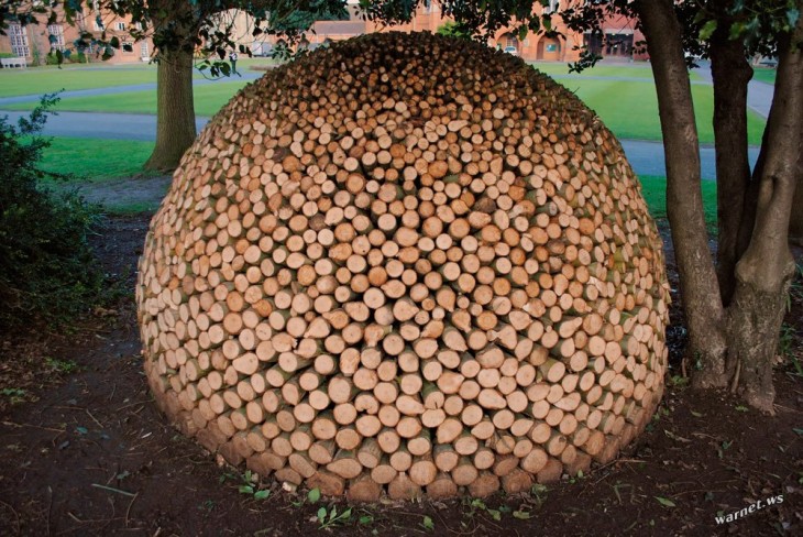 Pedazos de troncos apilados formando un enorme bola junto a un árbol 