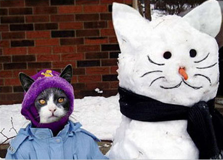 gato, junto a muñeco de nieve