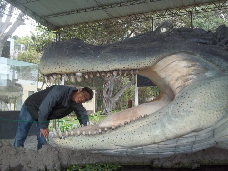 cocodrilo gigante con un hombre adentro de su cabeza