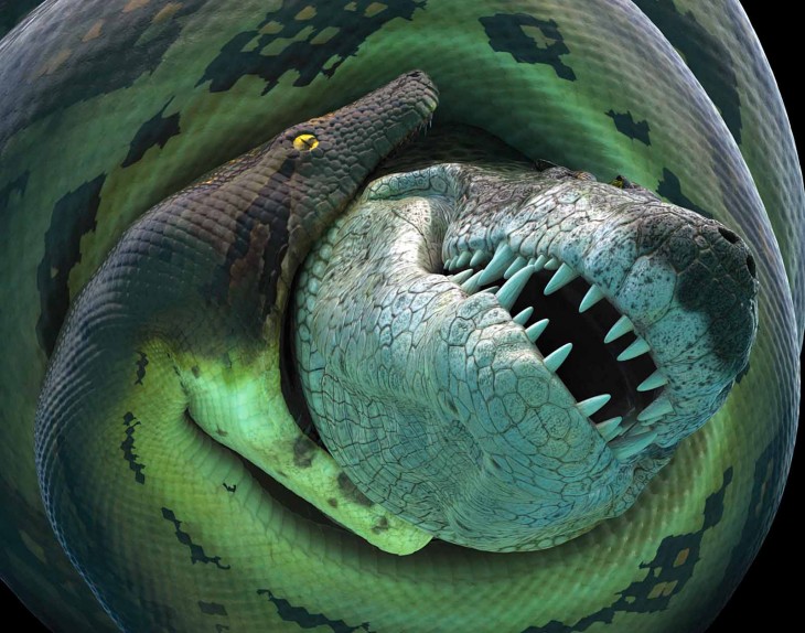 anaconda comiendo a un cocodrilo