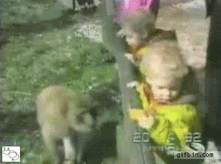mono logra quitarle un dulce a un niño