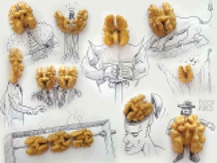 dibujo con nueces del artista victor nunes