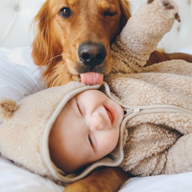 perro cerrando un ojo con un bebe acostado