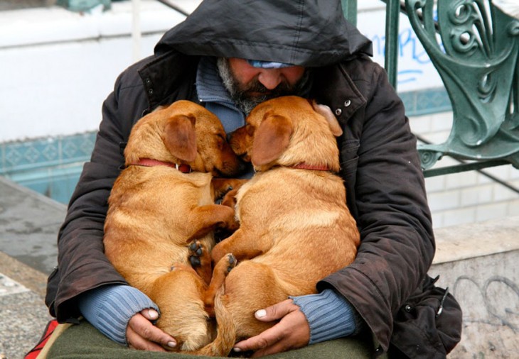 el perro el mejor amigo y no busca interéses (10)