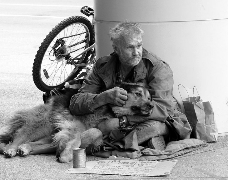 el perro el mejor amigo y no busca interéses (12)