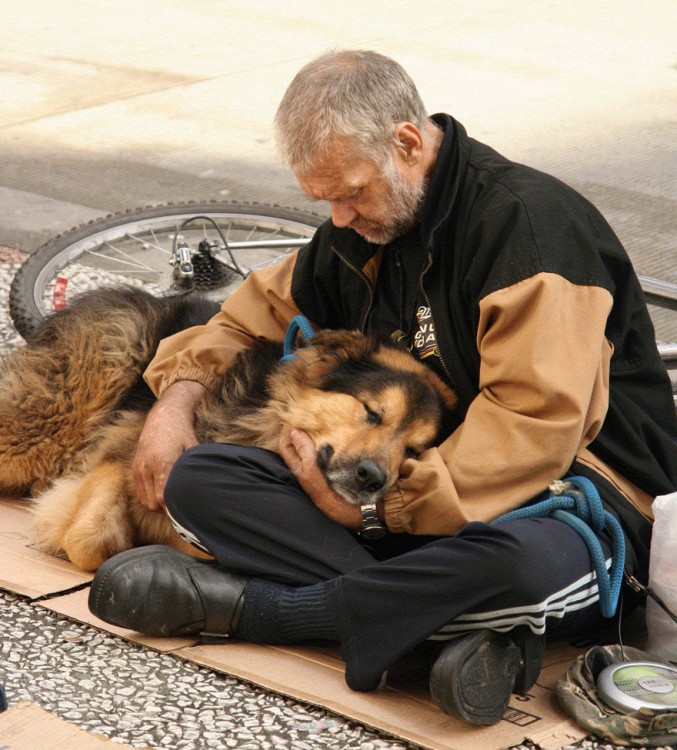 el perro el mejor amigo y no busca interéses (15)