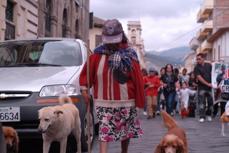 el perro el mejor amigo y no busca interéses (19)