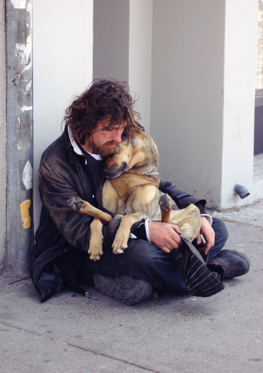 el perro el mejor amigo y no busca interéses (2)