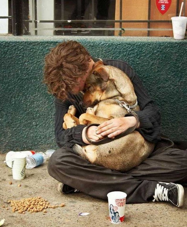 el perro el mejor amigo y no busca interéses (25)