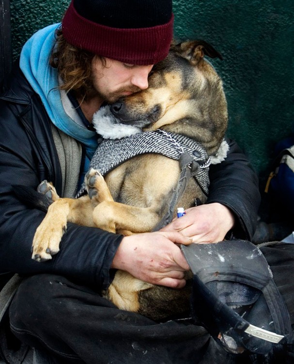 el perro el mejor amigo y no busca interéses (4)