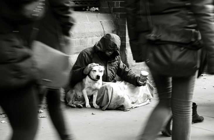 el perro el mejor amigo y no busca interéses (5)