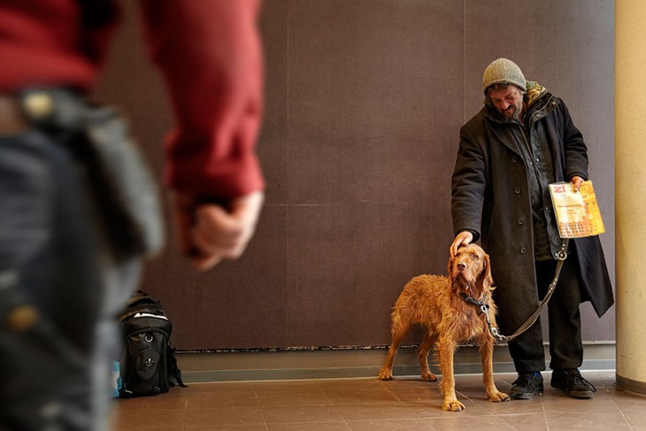 el perro el mejor amigo y no busca interéses (6)