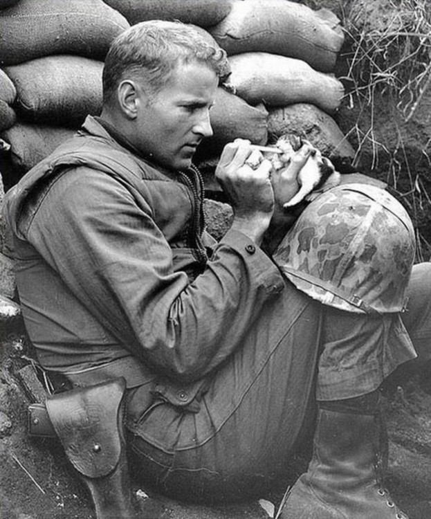 militar alimentando a un gato en una tinchera 