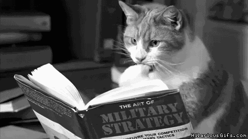 gato leyendo libro animado de estrategia militar