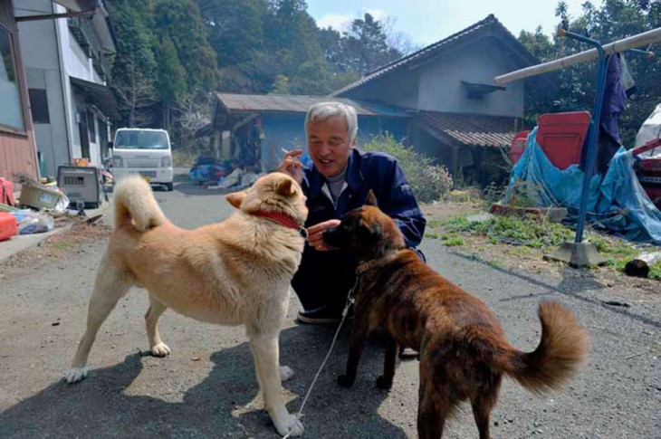 japones con perros de la calle en fukushima