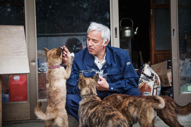 japones con perros de la calle en fukushima