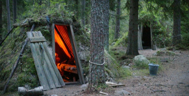 cabaña junto a un árbol en un gran bosque 