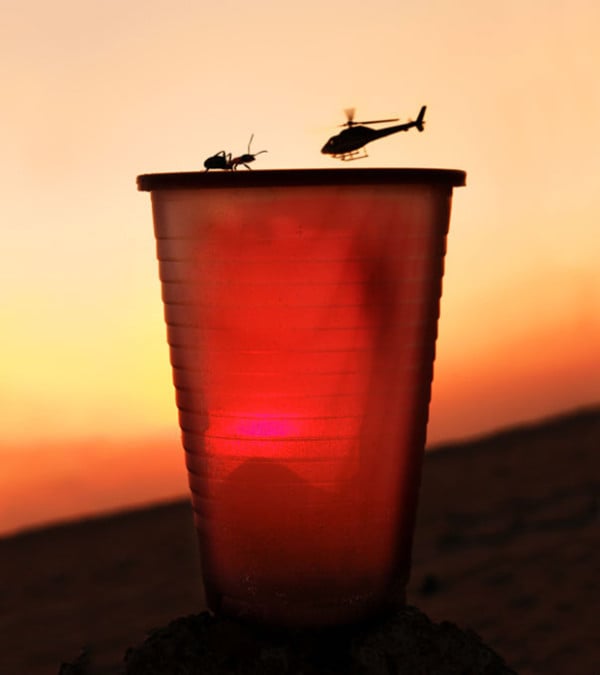 Hormiga sobre un vaso rojo en contraste con el atardecer y un helicóptero que simula tener el tamaño de la hormiga