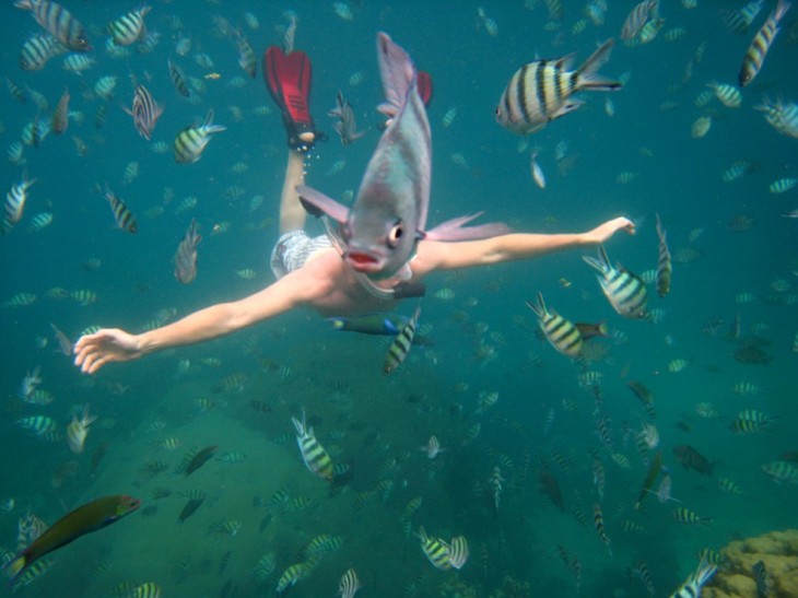 Imagen tomada debajo del mar con peces alrededor de un buzo que frente a él tiene un pez que parece ser su cabeza 