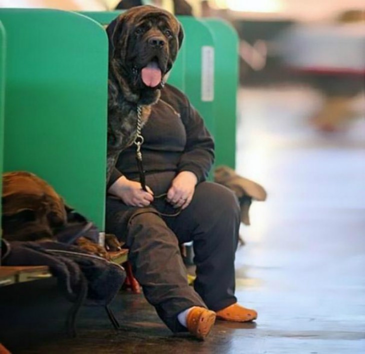 Una mujer sentada sobre una banca con un perro a lado y simulando que su cabeza es la del animal 