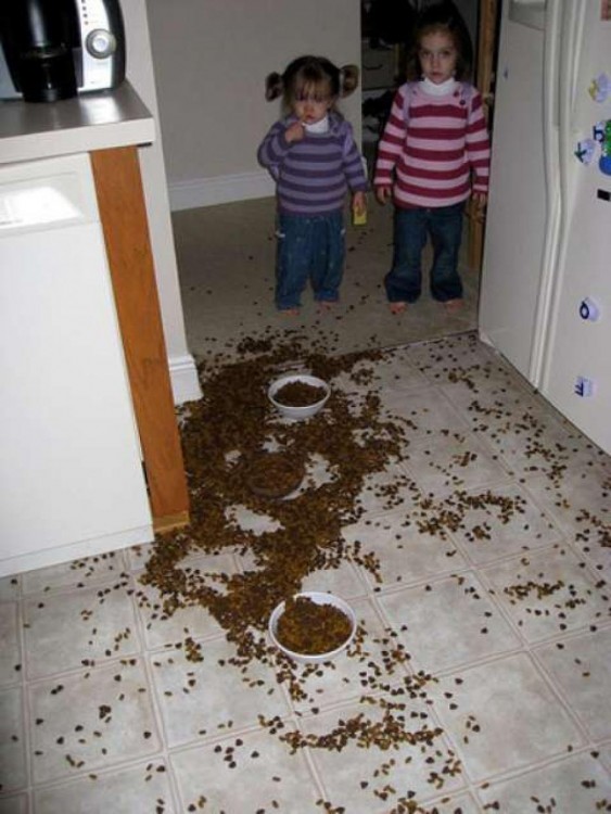 niñas con la comida del perro regada por la cocina 