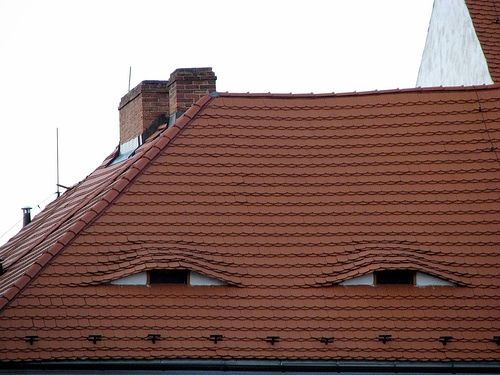 tejado de una casa con ventanas que forman unos ojos pequeños 