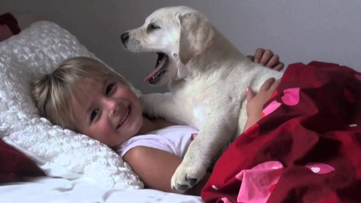 niño acostado en su cama con su perrito blanco