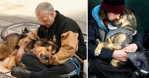 prueba de que los perros te amaran sin importar el dinero que tengas