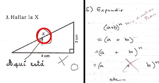 respuestas de examenes que querras llorar