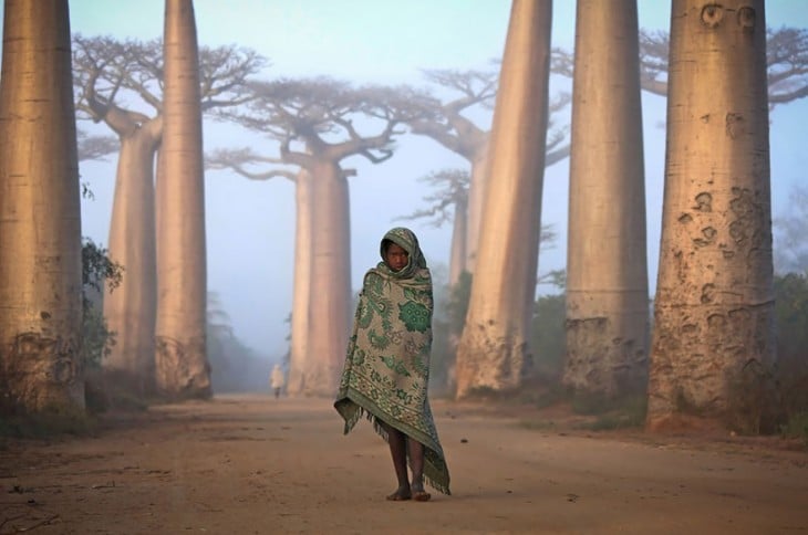 niña en medio de los árboles de baobabs en madagascar 