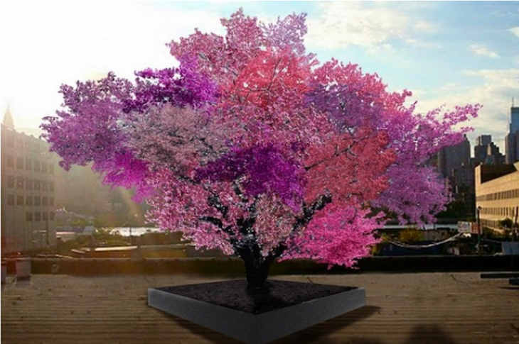 árbol en color rosa que da 40 tipos de fruta diferente 