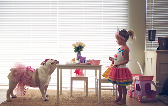bulldog blanco con tutu y antenitas jugando al te con una niñita