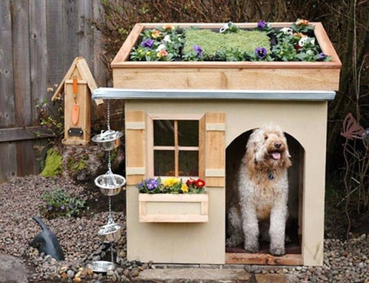 casa para perro mediano con jardinera en el techo