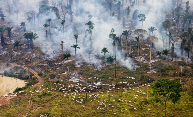 Parte de la selva del Amazonas, siendo quemada para ser "re-planificada"