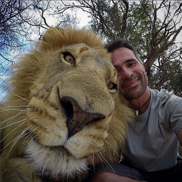 selfie con leon con su cara de ternura y muy junto a la camara