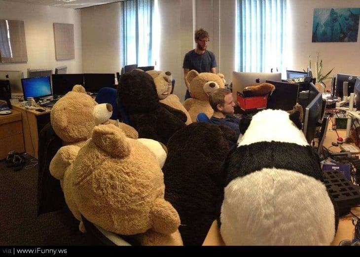 muchacho en la computadora rodeado de osos de peluche