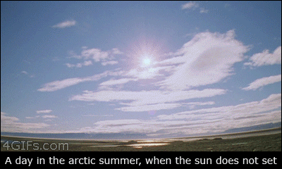 verano en el artico