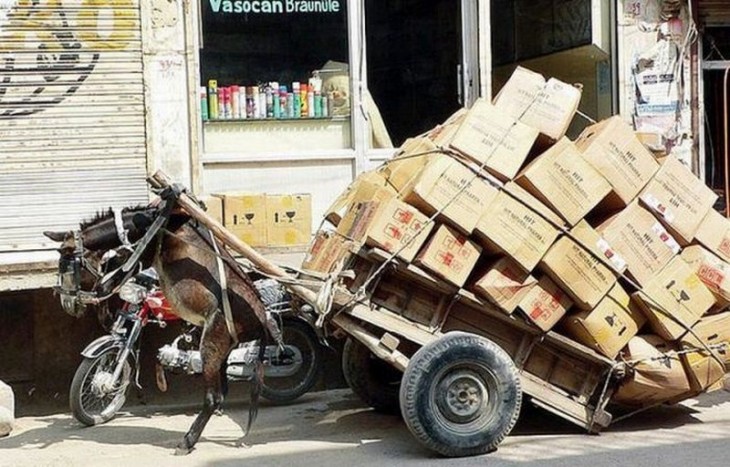 burro quedo volando por la sobre carga de su carrito