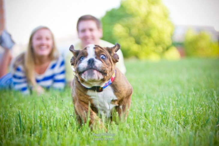 pareja viendo correr a su bulldog pequeño