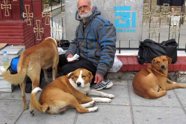 hombre de la calle le da de comer a perros