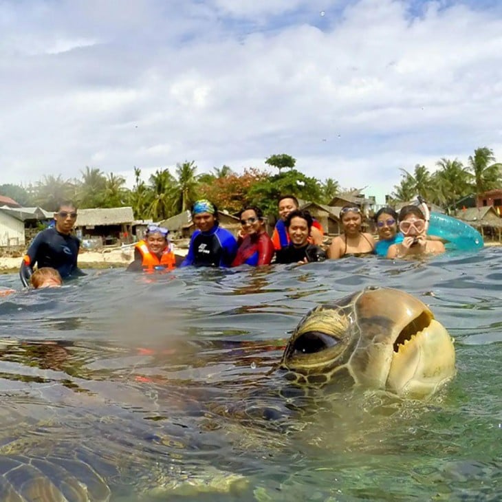 una tortuga en la playa con gente