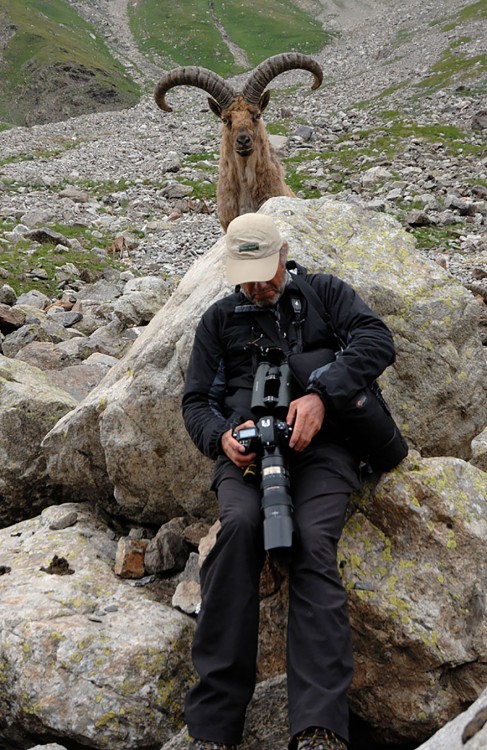 fotografo con un bighorn atras