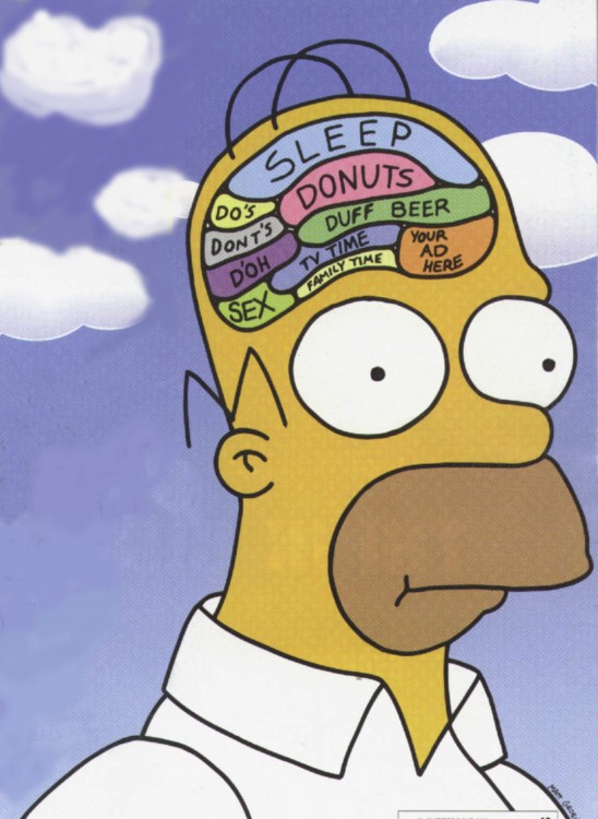 Cabeza de Homero con muchas cosas en su cerebro 