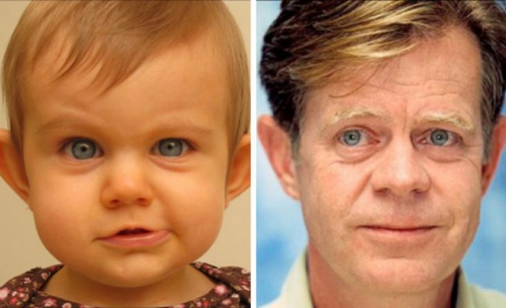 Bebé parecido a William H. Macy 