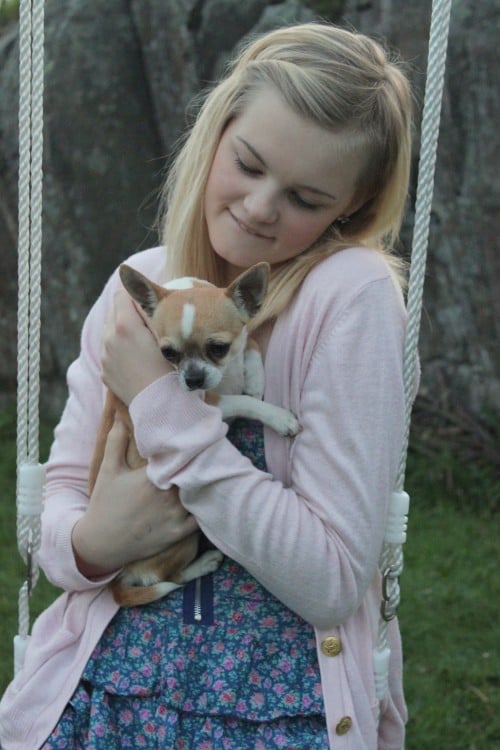 Chica con un perro chihuahua 