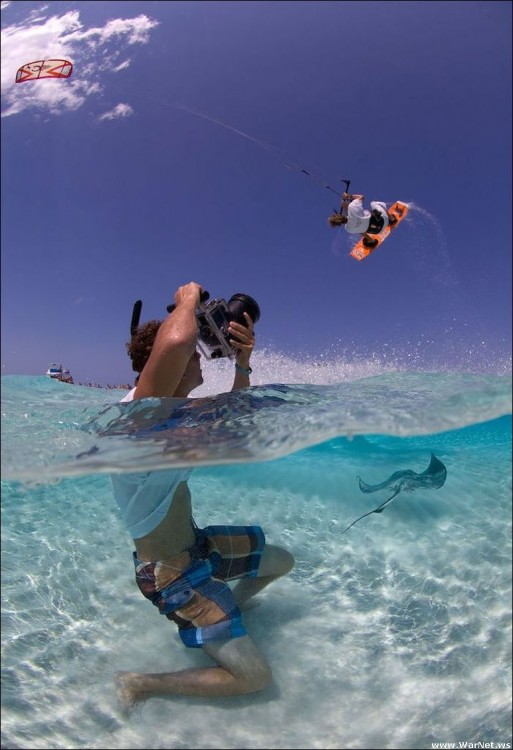 Fotógrafo bajo el mar expuesto a una mantaraya